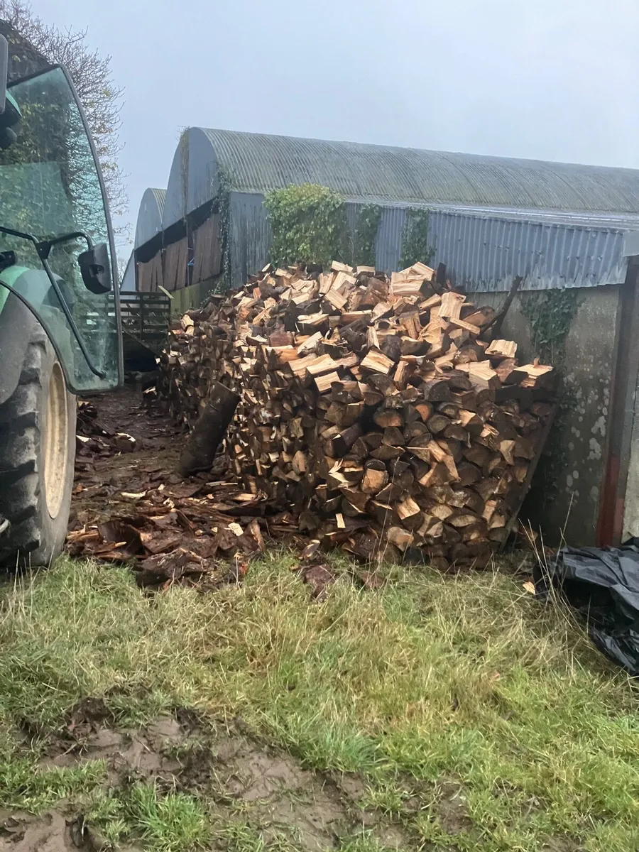 Firewood - Image 2