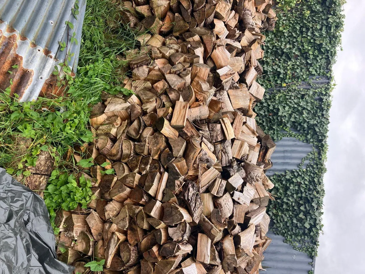 Firewood - Image 1