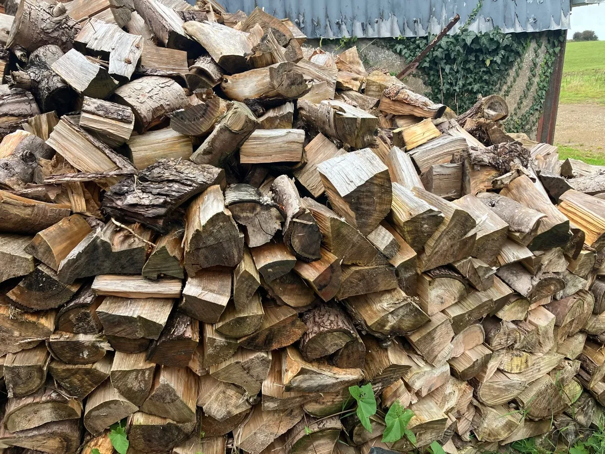 Firewood - Image 3
