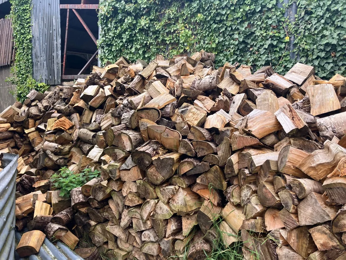 Firewood - Image 4