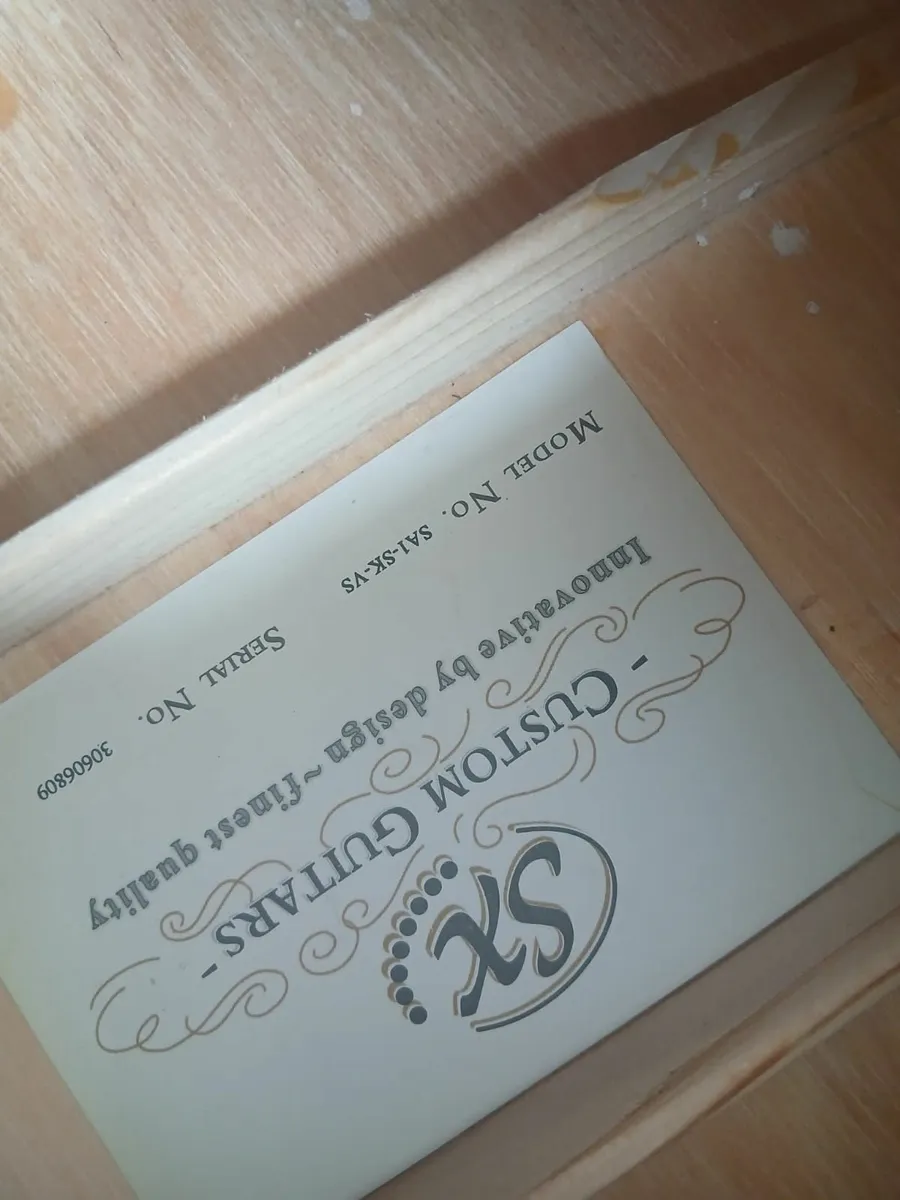 Brand new guitar and case (SX) - Image 4
