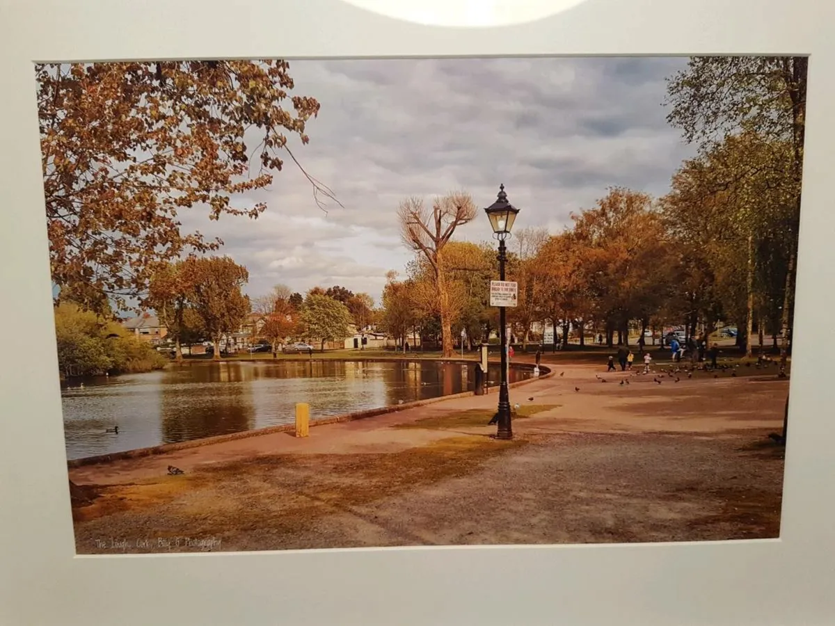 The Lough, Cork - Image 3