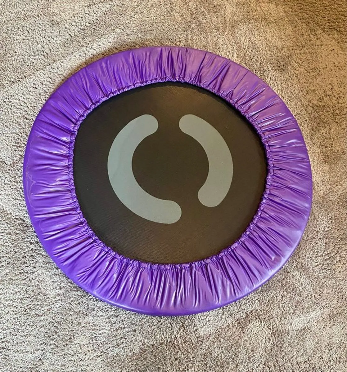 Adult sports rebounder/mini trampoline - Image 1