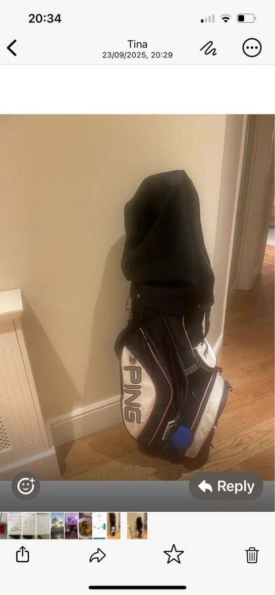 Golf bag - Image 1