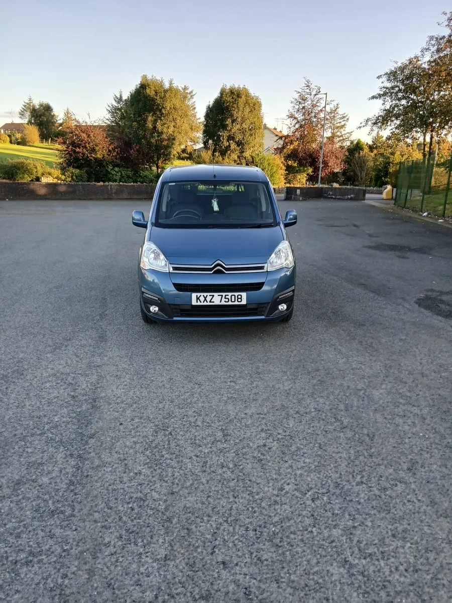 Wheelchair Accessible Vehicle - Image 4