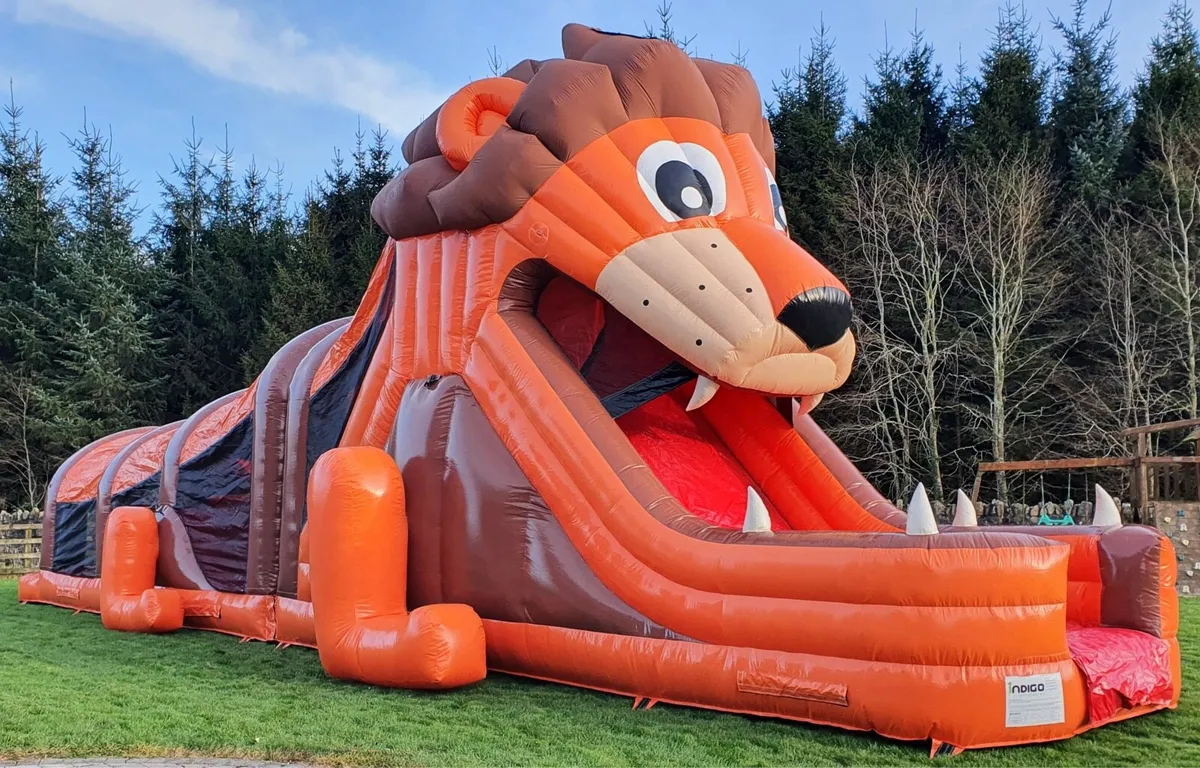 Bouncy castles - Image 4
