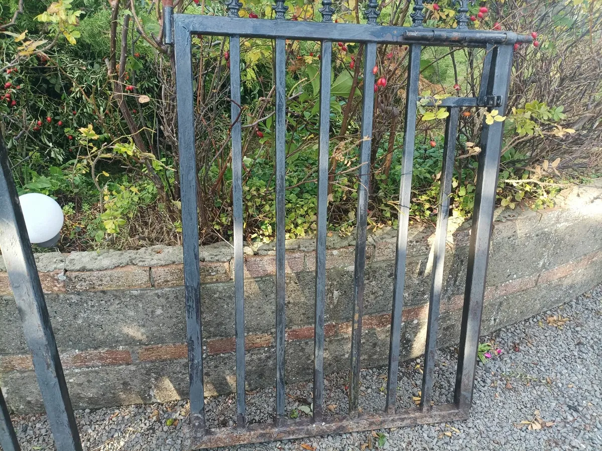 Garden gates - Image 1