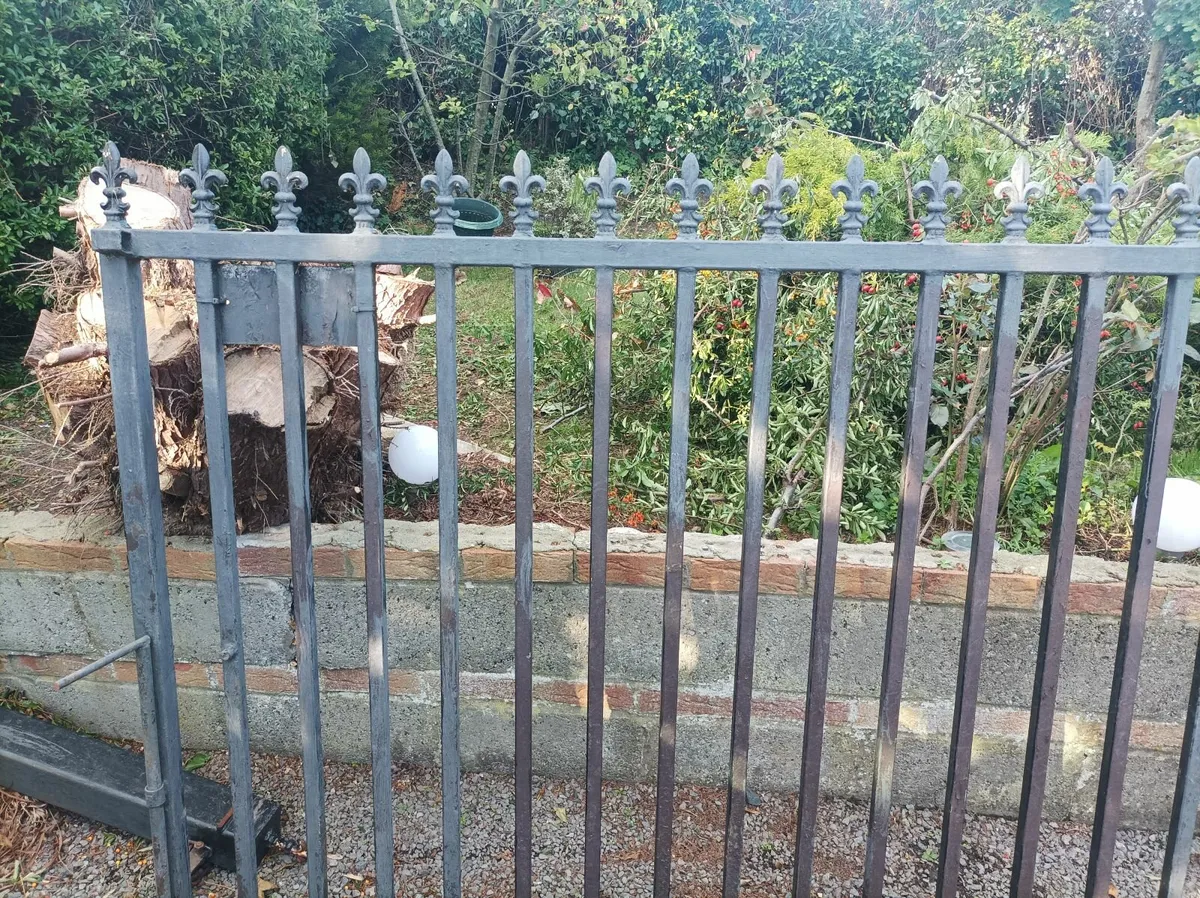 Garden gates - Image 2