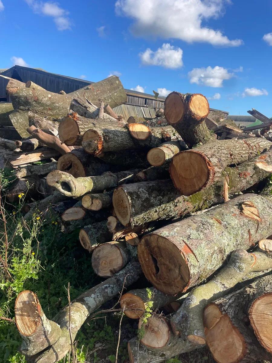 Firewood