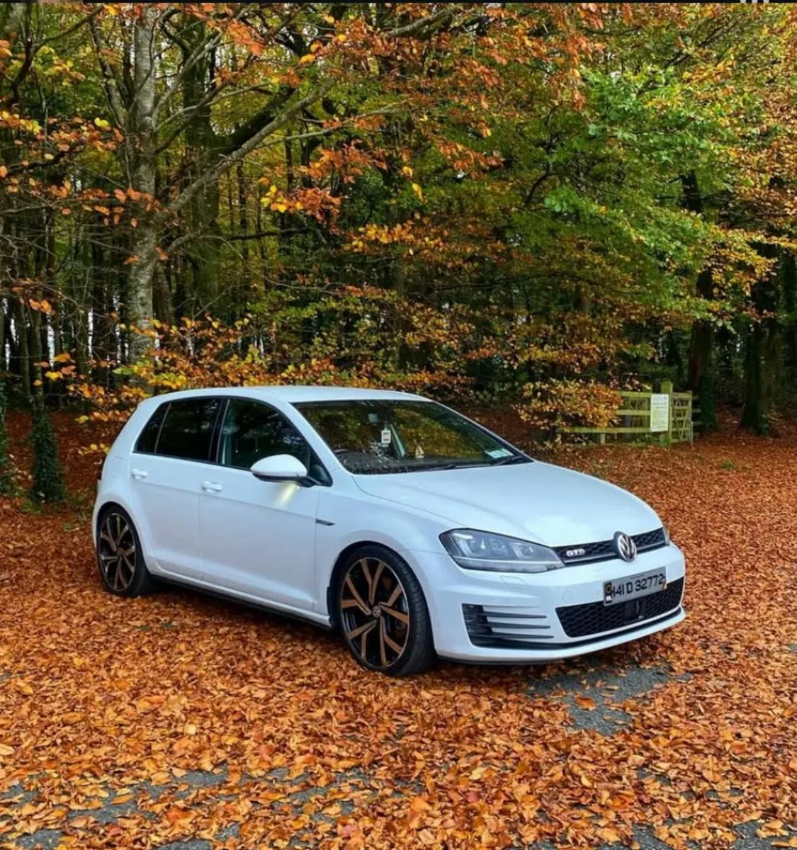 GOLF GTD 141 2.0 - Image 1