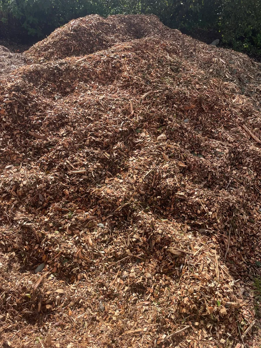 Woodchip/ bedding