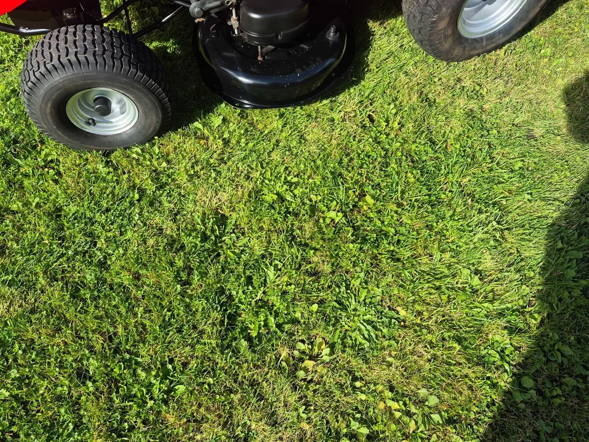 Castlegarden ride on lawnmower - Image 2