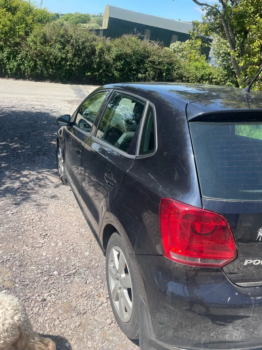 Volkswagen polo - Image 3
