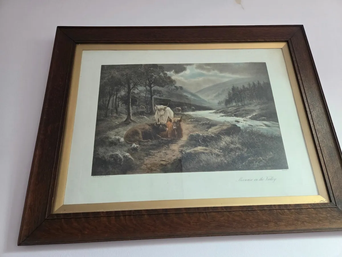 Pictures - Image 1