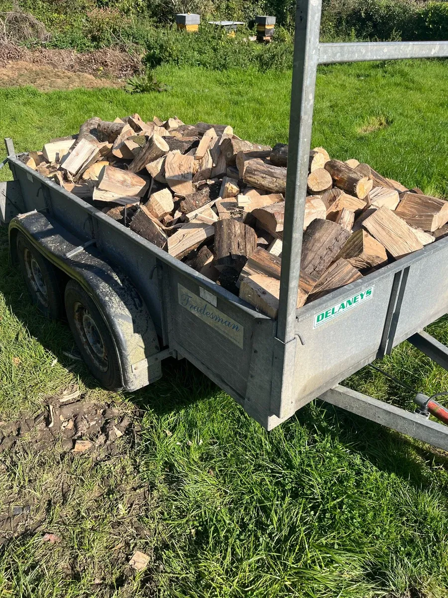 Hardwood Beech Firewood Blocks For Sale - Image 1