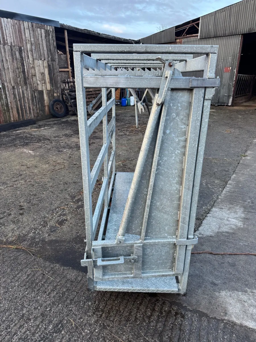 3 Point Linkage Galvanised Cattle Crush - Image 2