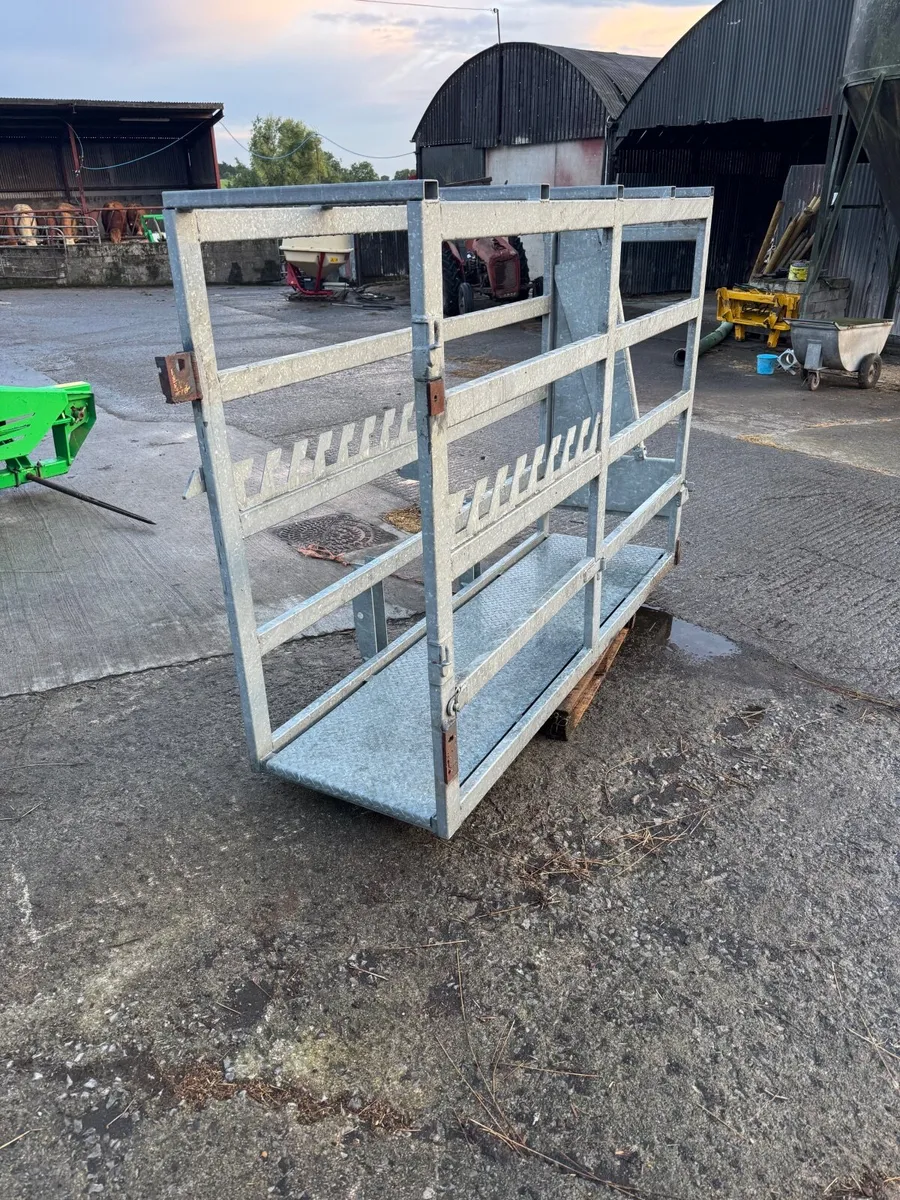 3 Point Linkage Galvanised Cattle Crush - Image 3