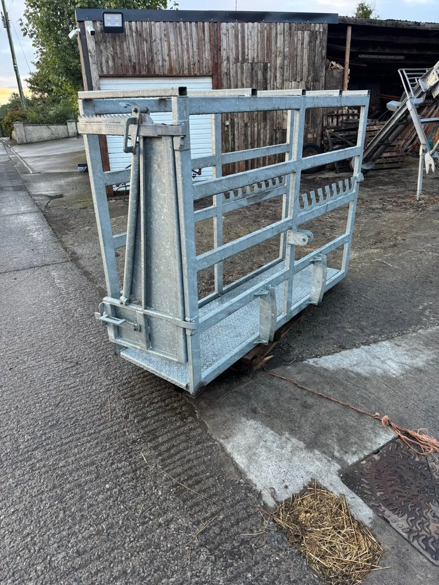 3 Point Linkage Galvanised Cattle Crush - Image 1