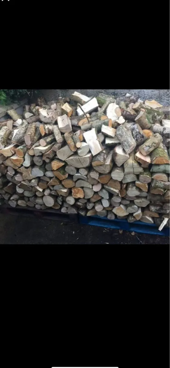 Trailers of seasoned firewood - Image 2