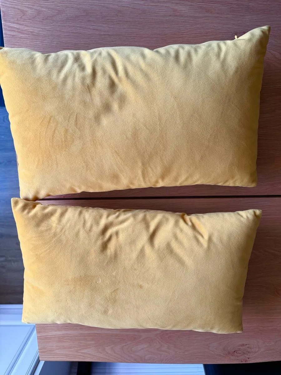 Set of two yellow velvet cushions, cushion - Image 2