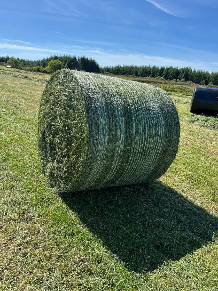 Silage bales