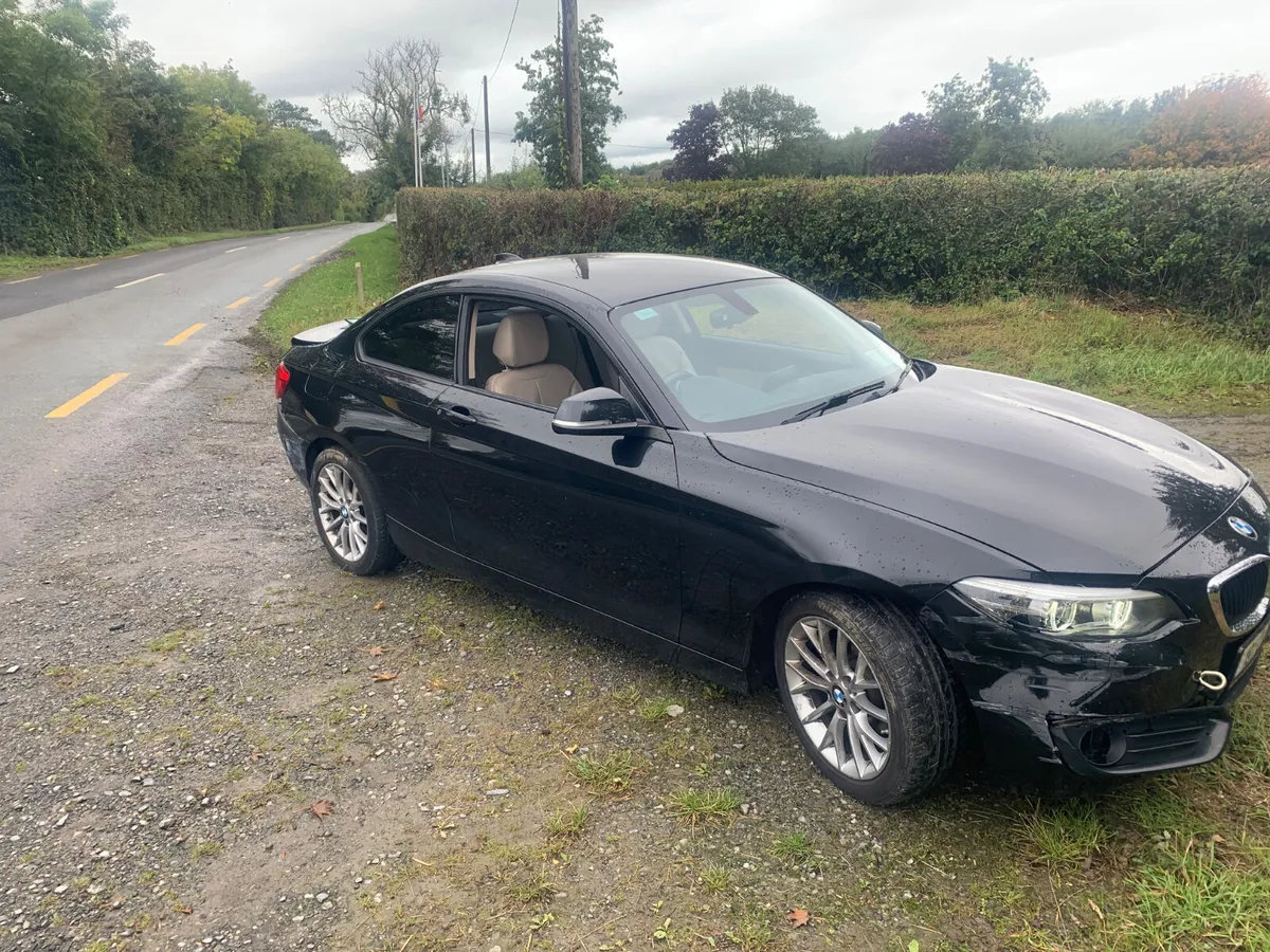2019 BMW 218  COUPE DIESEL AUTOMATIC - Image 3