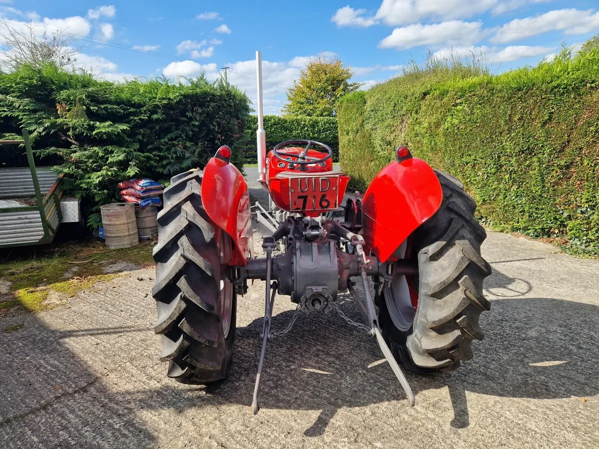 Massey ferguson 135 - Image 2