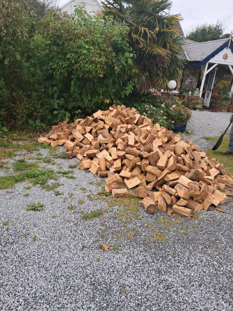 Firewood for sale hardwood softwood - Image 2