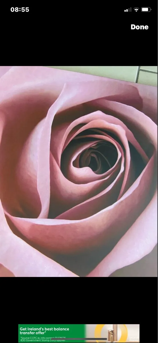 Large ROSE Canvas Art - Image 2