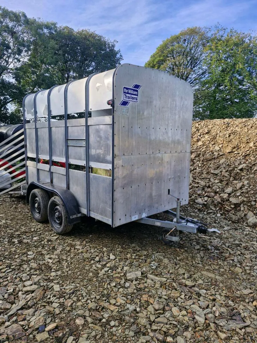 Ifor Williams cattle trailer - Image 1