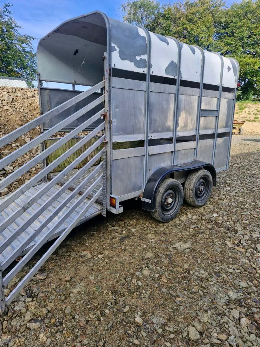 Ifor Williams cattle trailer - Image 2