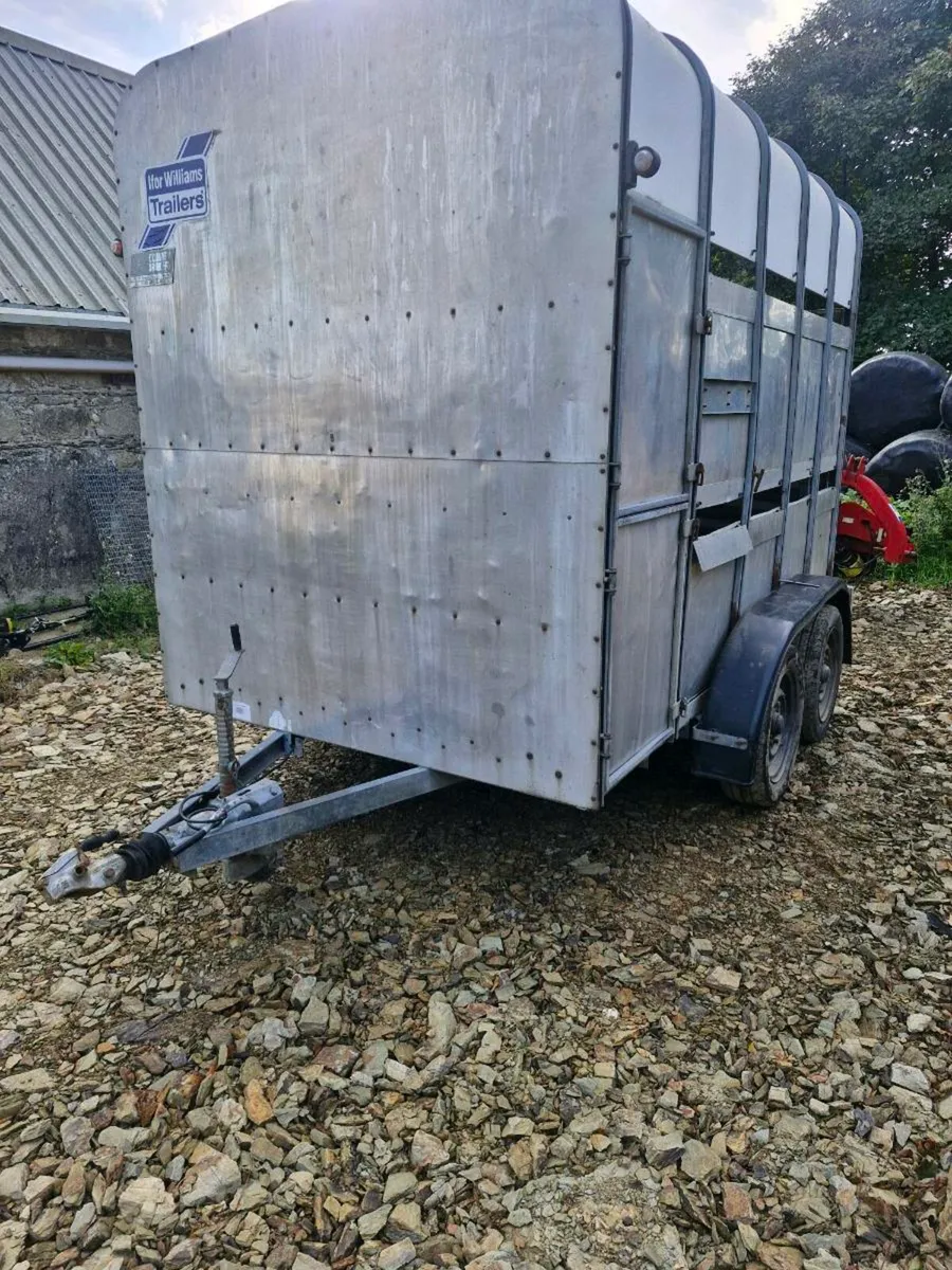 Ifor Williams cattle trailer - Image 4