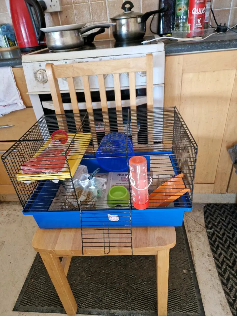 Hamster cage - Image 1