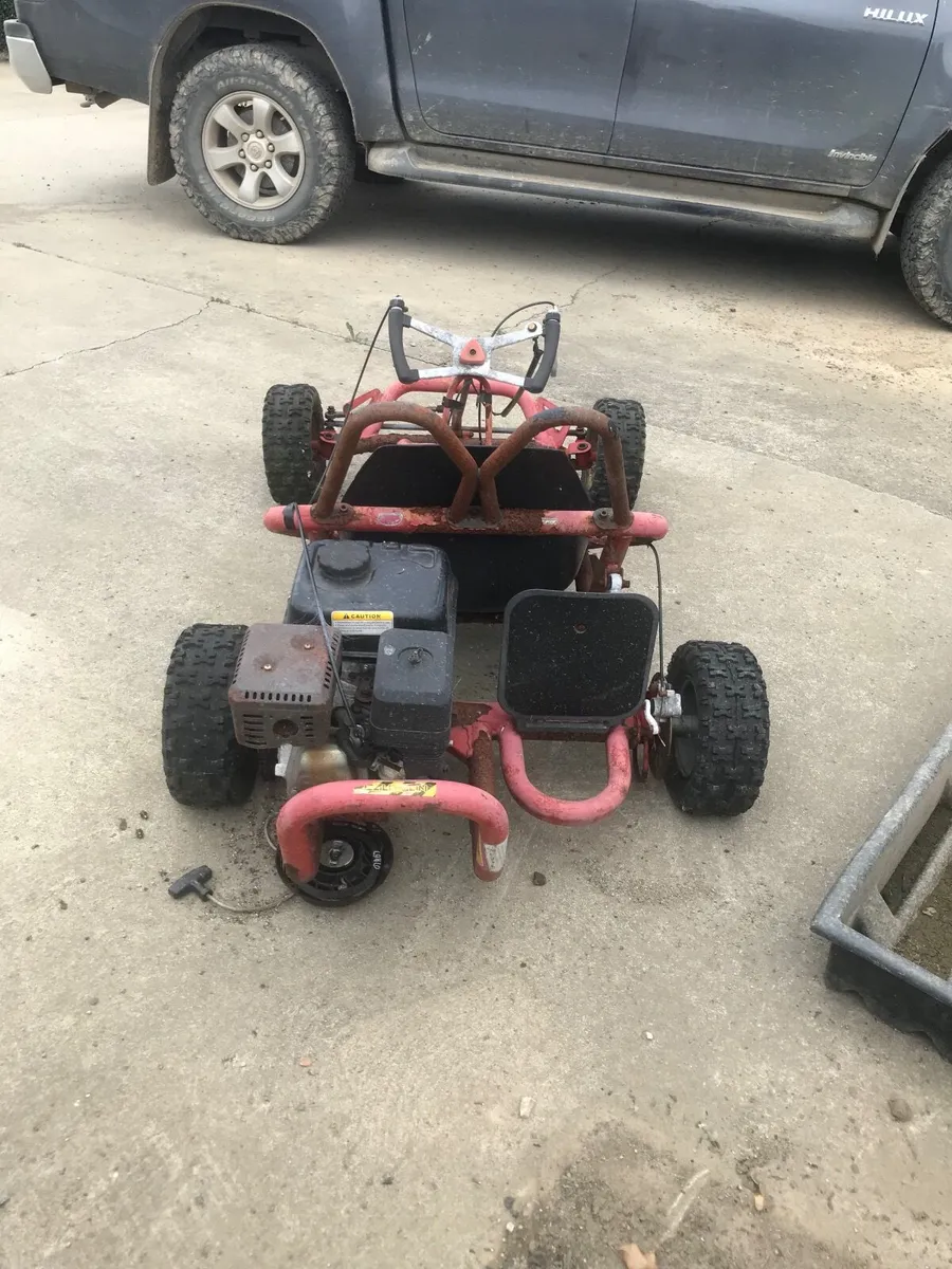 Buggy - Image 1