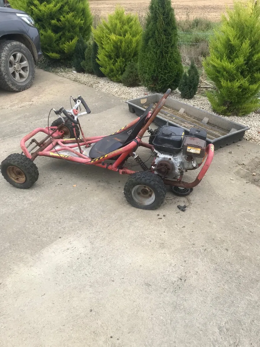 Buggy - Image 2