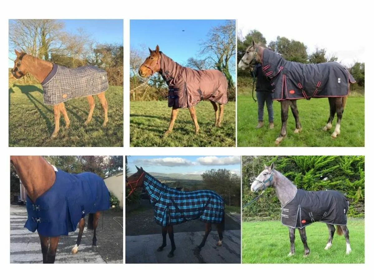 Turnout and Stable Rugs - Delivery Nationwide - Image 1