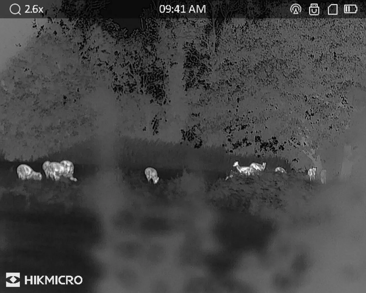 Deer management services - Image 2