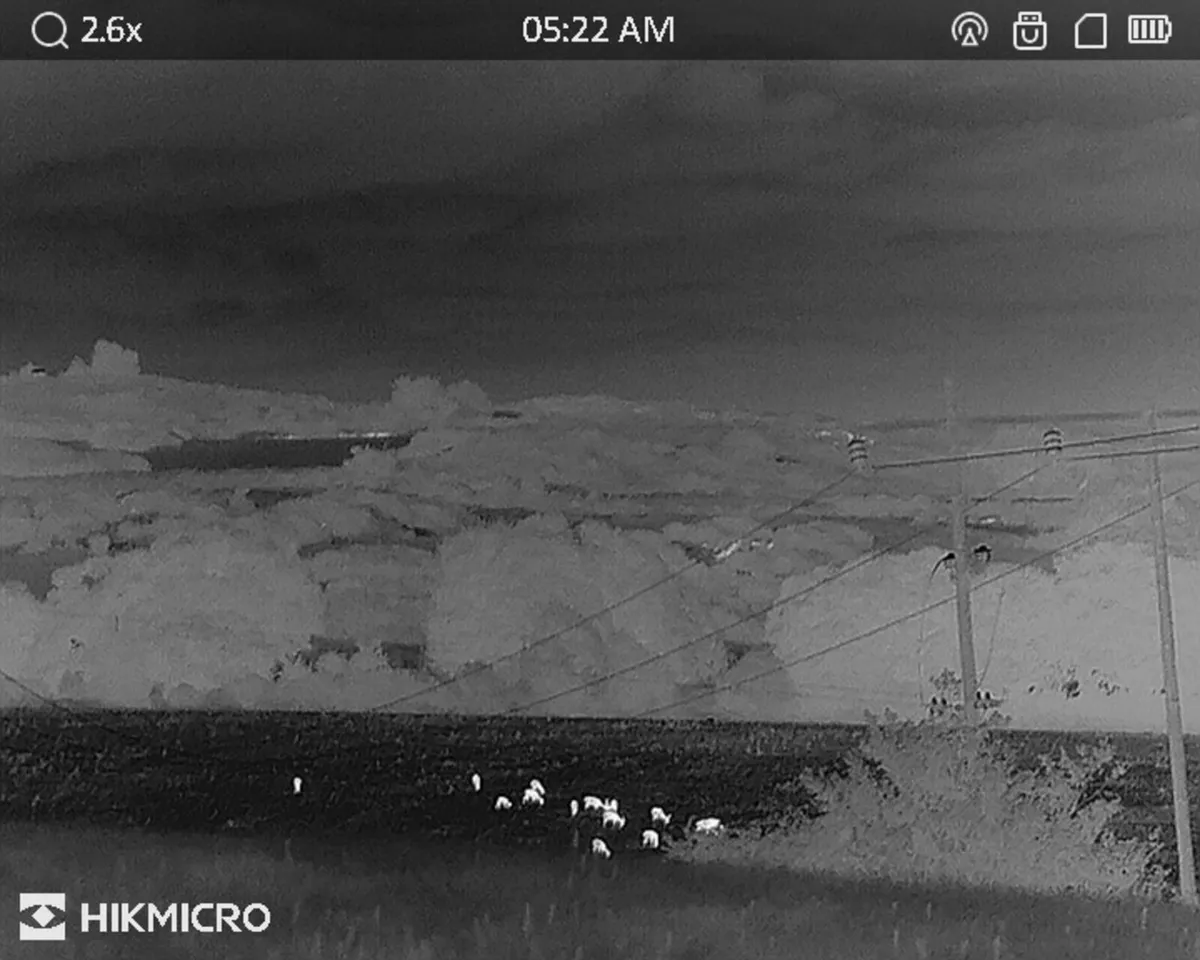 Deer management services - Image 3