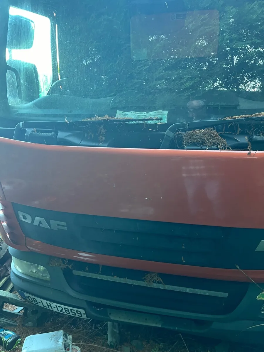 DAF Other 2001 - Image 1