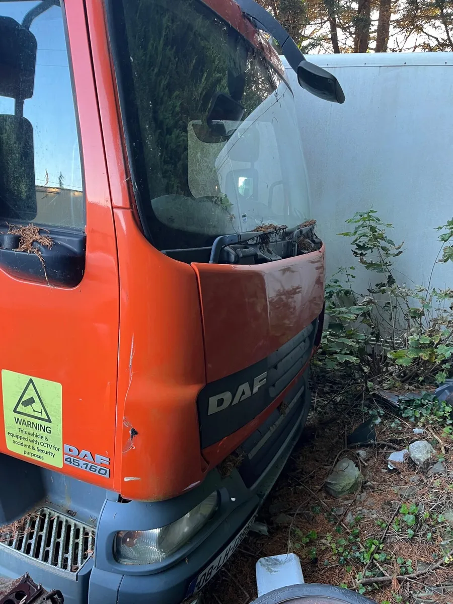 DAF Other 2001 - Image 2