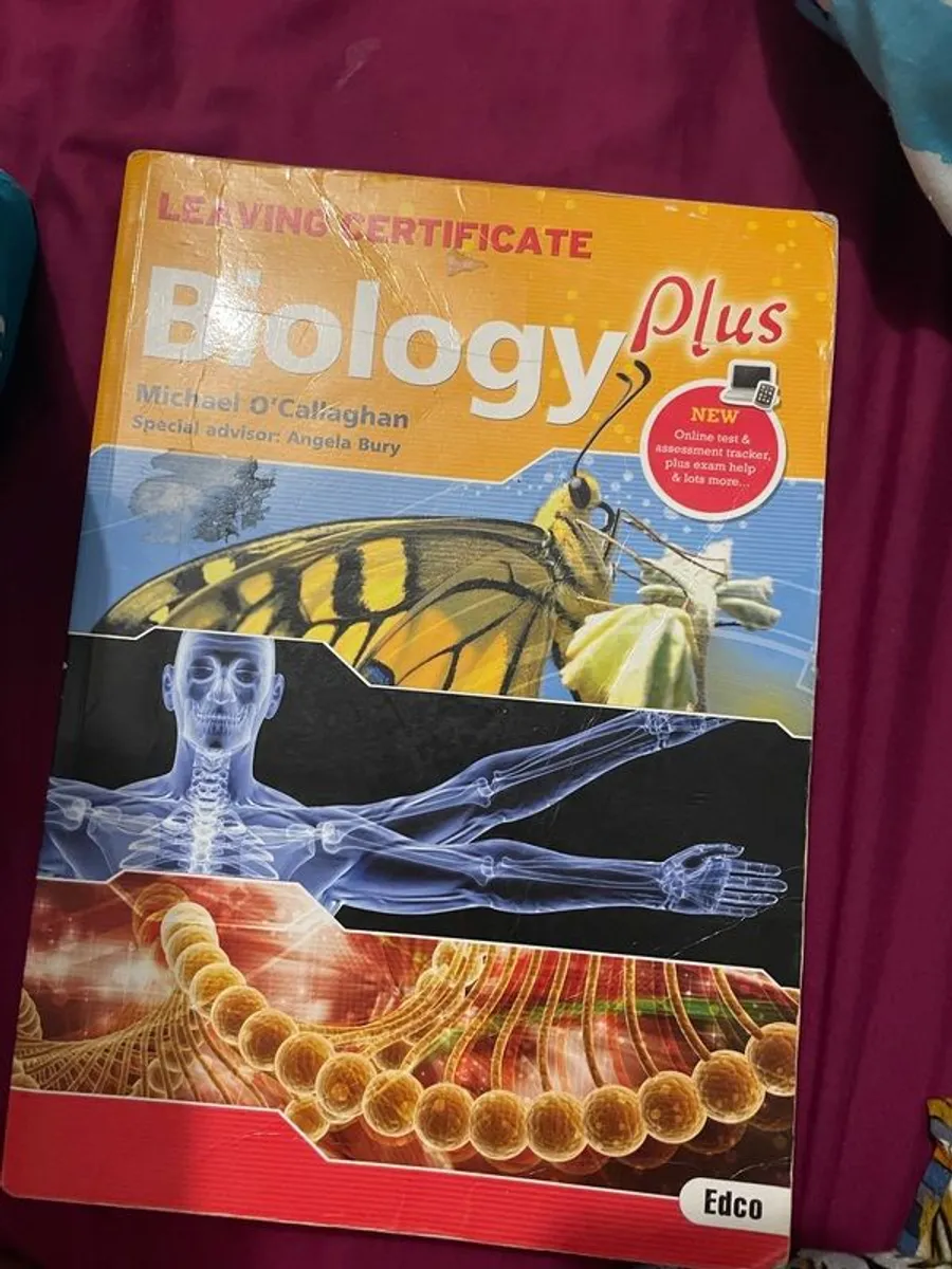 book - Image 3