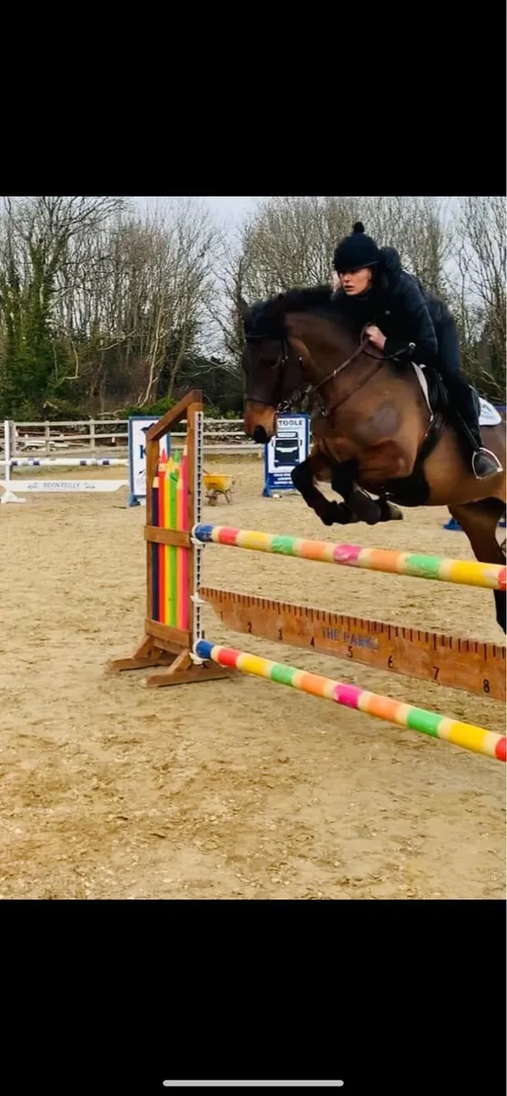 SCHOOLING/HANDLING/BREAKING spaces available - Image 2