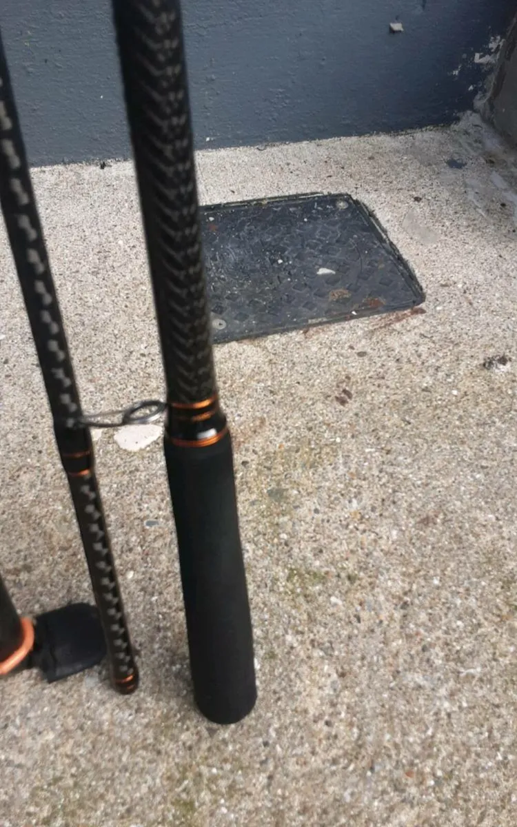 Savage gear sg8 spinning rod - Image 3