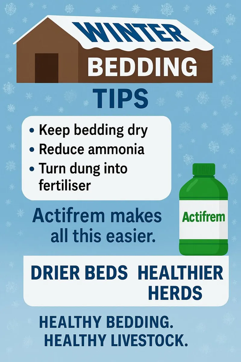 Winter Bedding Tips - Image 1