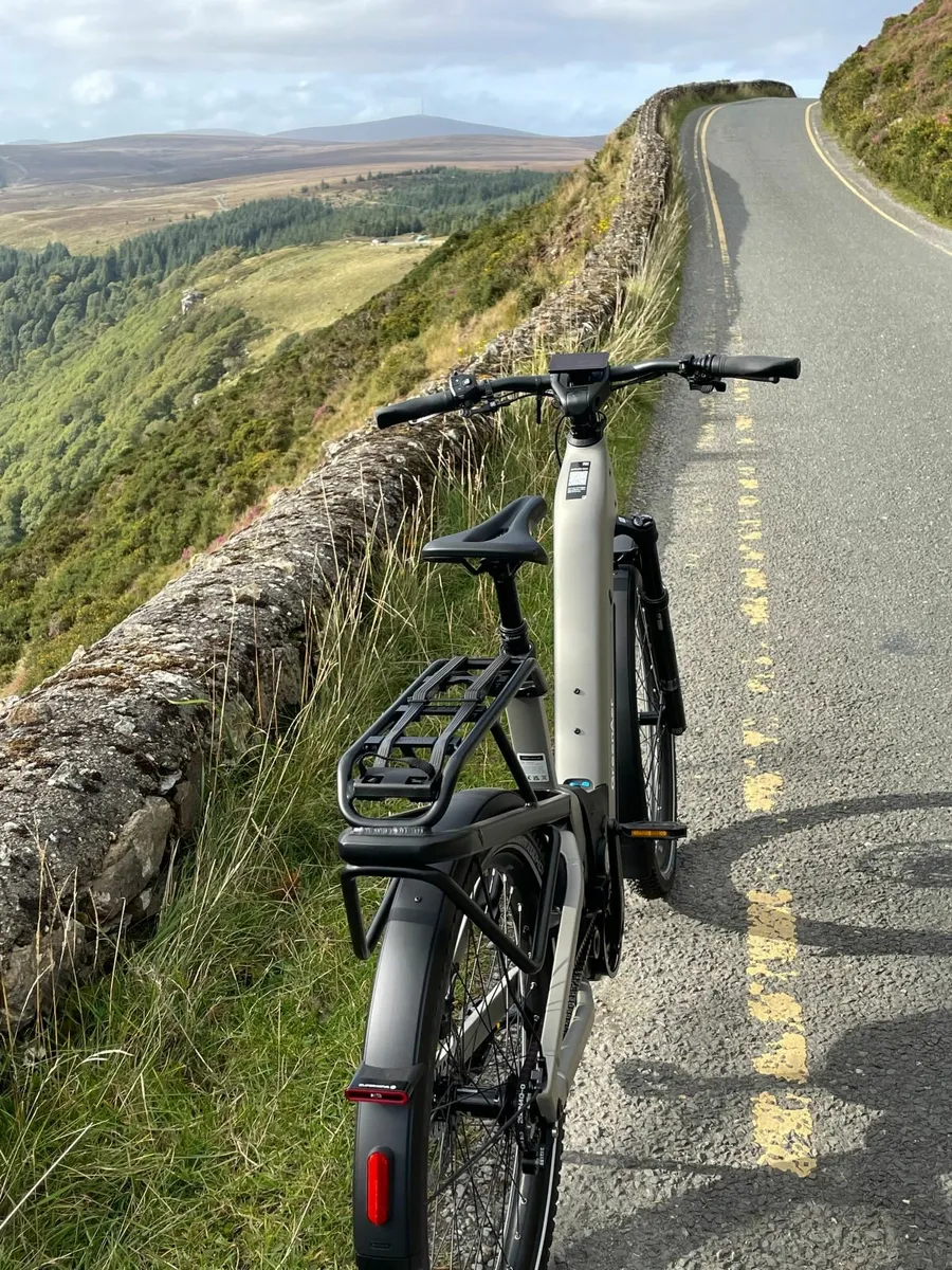 Riese & Muller Electric Bike Show 27th /28th Sept - Image 4