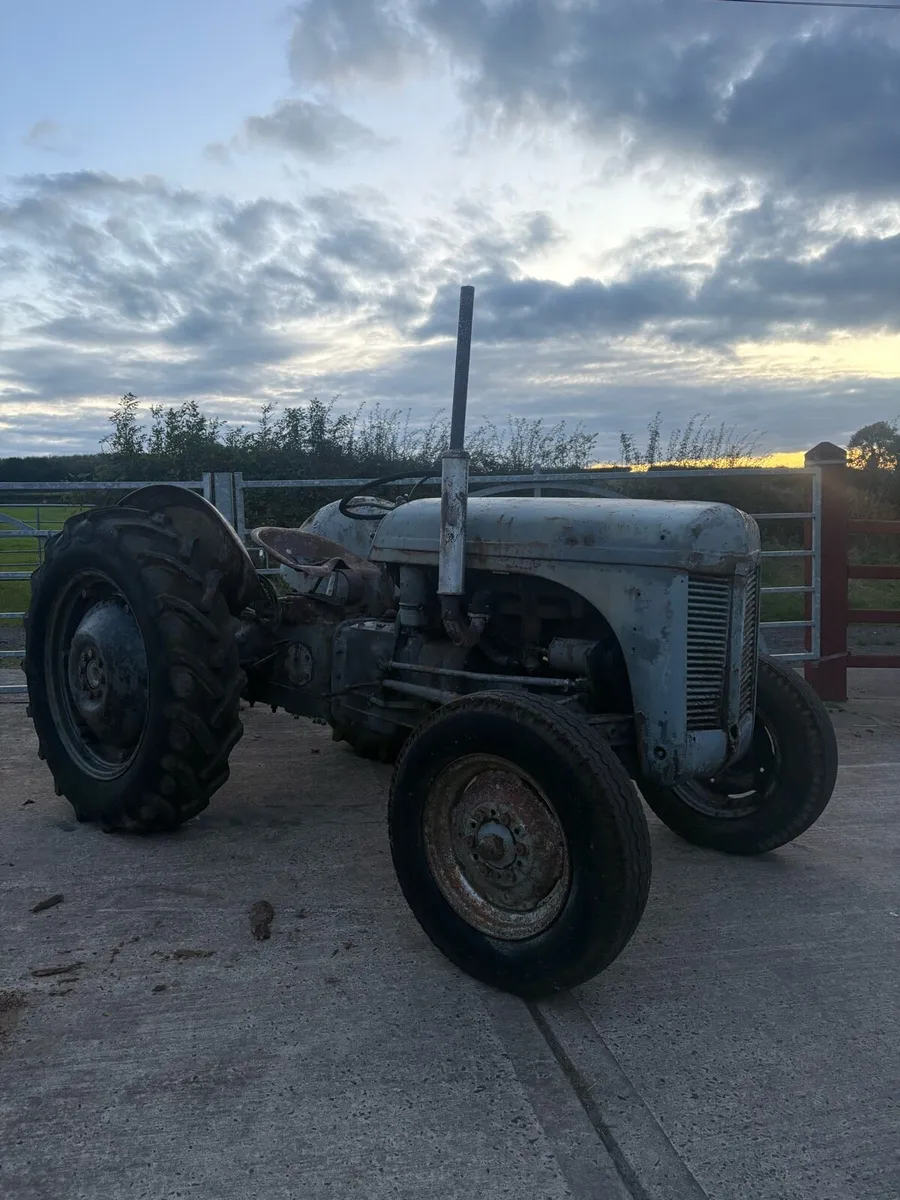 Ferguson T20 - Image 2