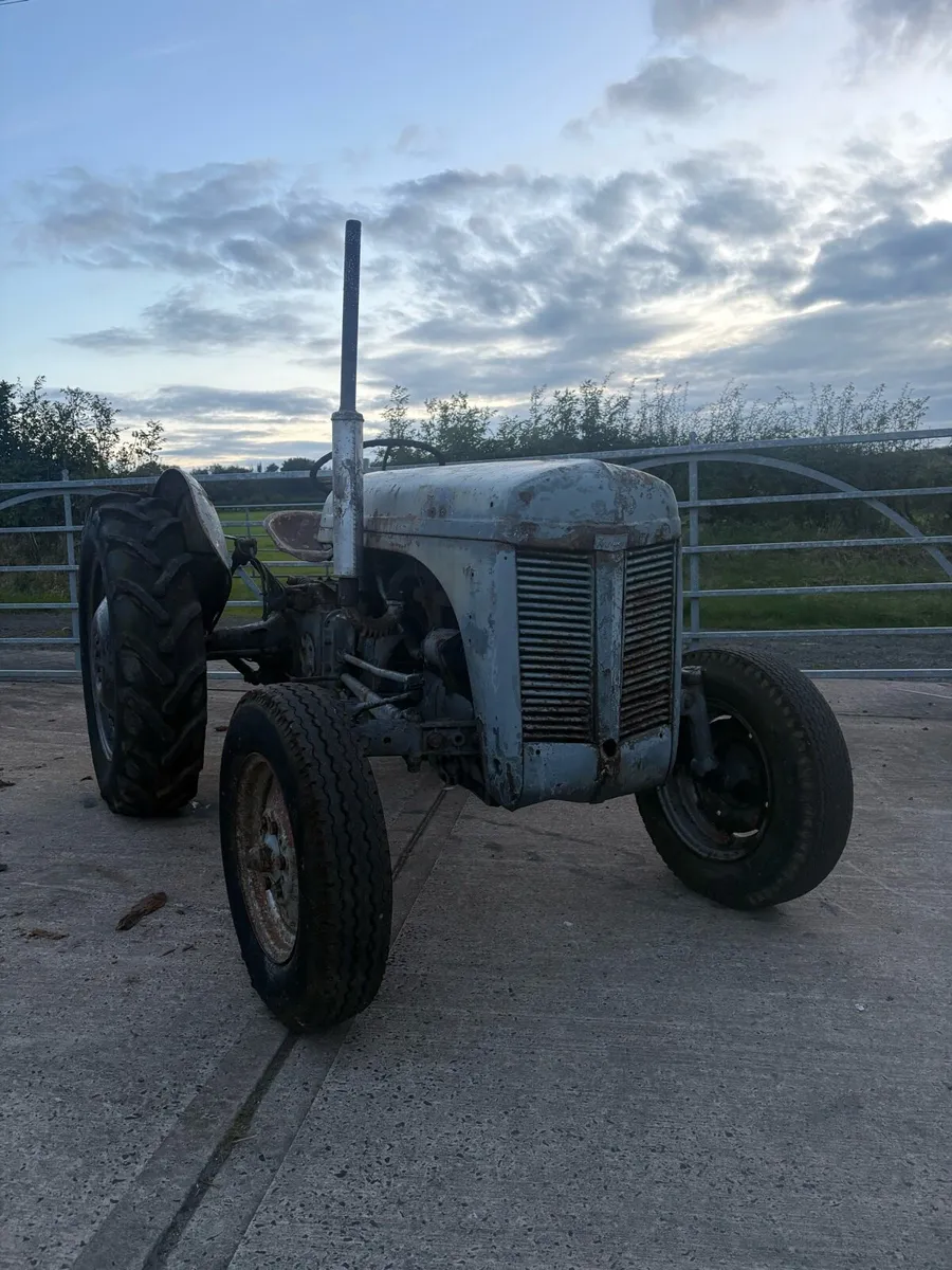 Ferguson T20 - Image 4