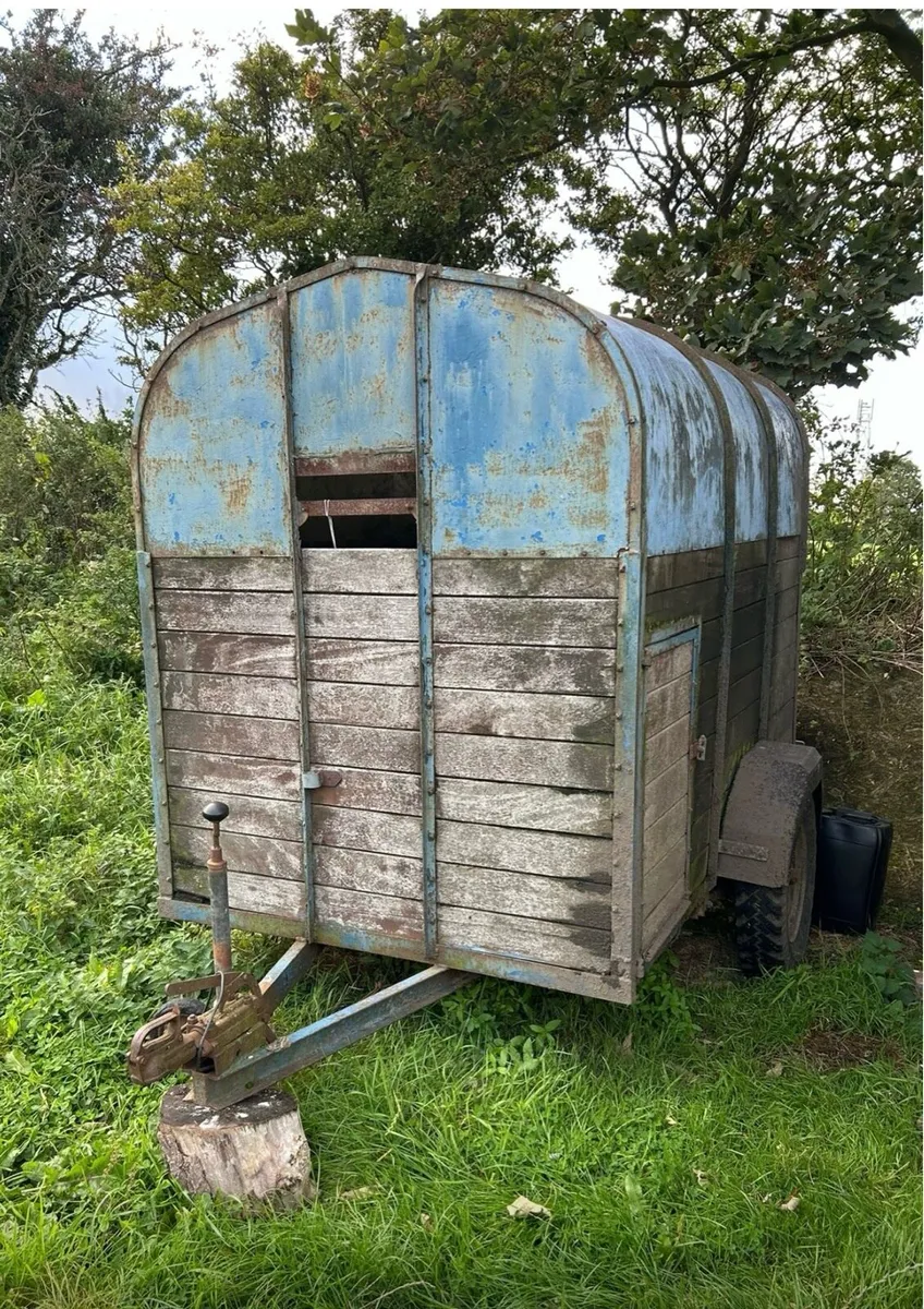 Sheep / calf trailer - Image 1