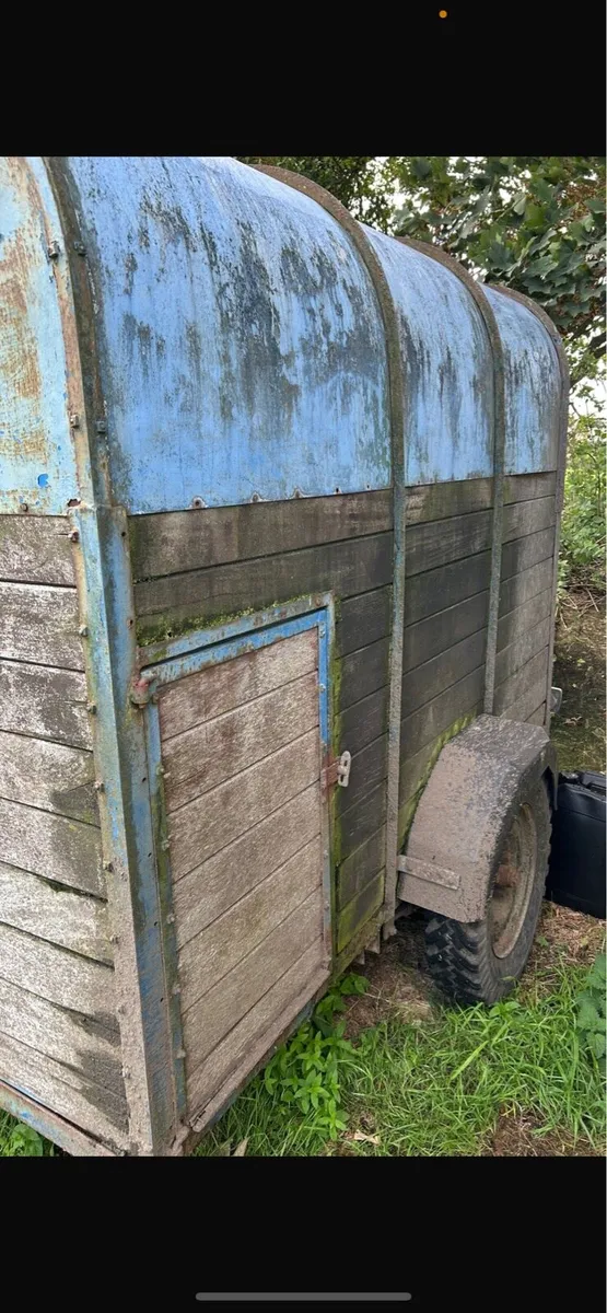 Sheep / calf trailer - Image 2