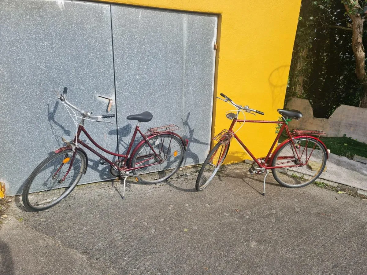 Raleigh, his and hers - Image 2